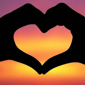 Meet your Posher, Shyla